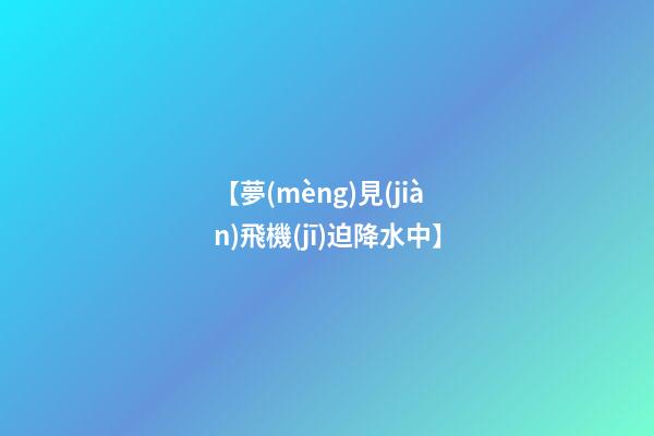 【夢(mèng)見(jiàn)飛機(jī)迫降水中】