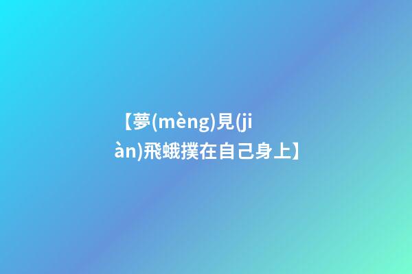 【夢(mèng)見(jiàn)飛蛾撲在自己身上】