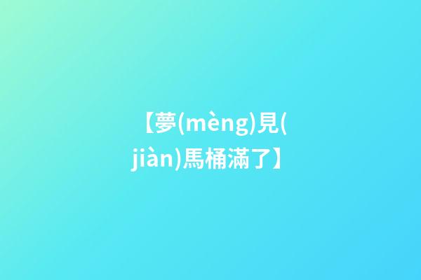 【夢(mèng)見(jiàn)馬桶滿了】