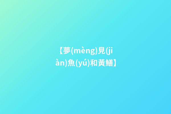 【夢(mèng)見(jiàn)魚(yú)和黃鱔】