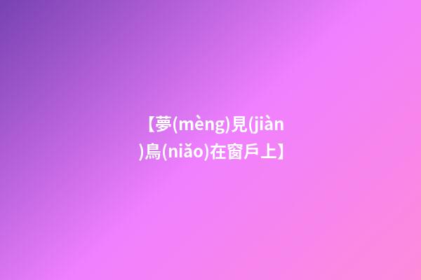 【夢(mèng)見(jiàn)鳥(niǎo)在窗戶上】