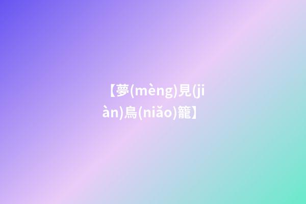 【夢(mèng)見(jiàn)鳥(niǎo)籠】