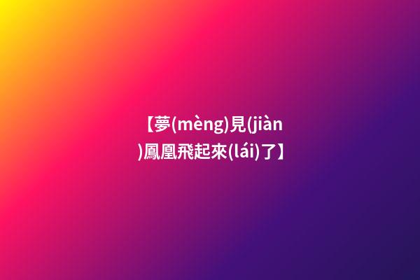 【夢(mèng)見(jiàn)鳳凰飛起來(lái)了】