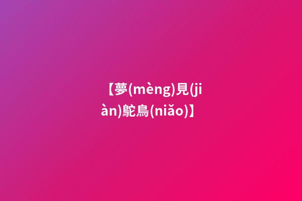 【夢(mèng)見(jiàn)鴕鳥(niǎo)】