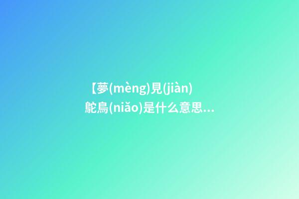 【夢(mèng)見(jiàn)鴕鳥(niǎo)是什么意思?】