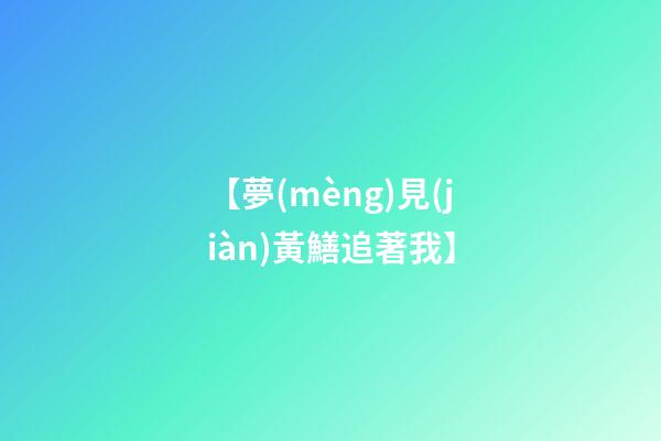 【夢(mèng)見(jiàn)黃鱔追著我】