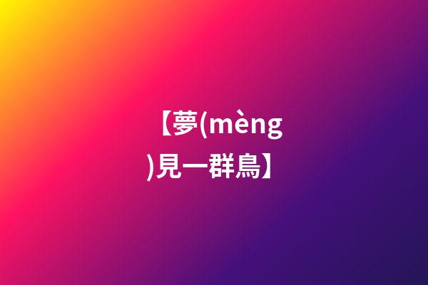 【夢(mèng)見一群鳥】