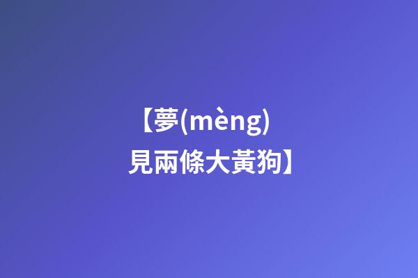 【夢(mèng)見兩條大黃狗】
