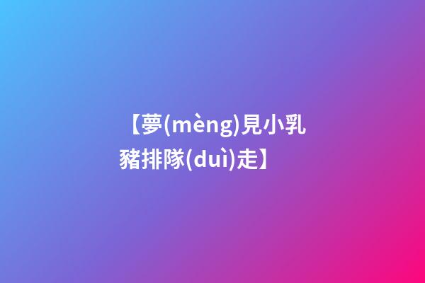 【夢(mèng)見小乳豬排隊(duì)走】