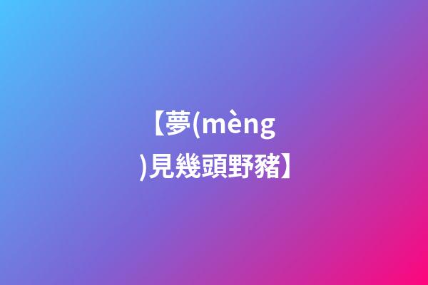 【夢(mèng)見幾頭野豬】