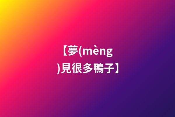 【夢(mèng)見很多鴨子】