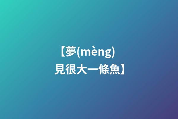 【夢(mèng)見很大一條魚】