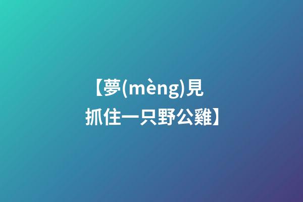 【夢(mèng)見抓住一只野公雞】