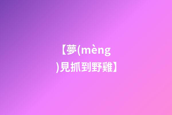 【夢(mèng)見抓到野雞】