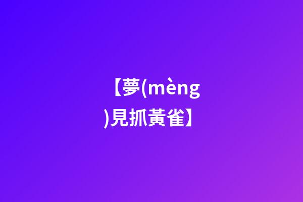 【夢(mèng)見抓黃雀】