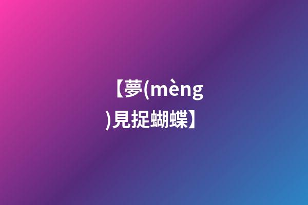 【夢(mèng)見捉蝴蝶】