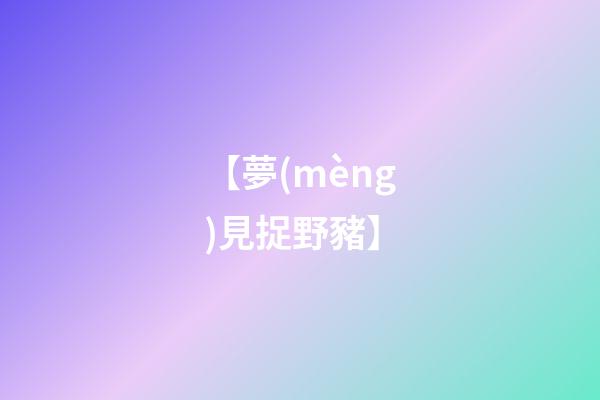 【夢(mèng)見捉野豬】