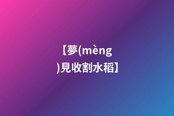 【夢(mèng)見收割水稻】