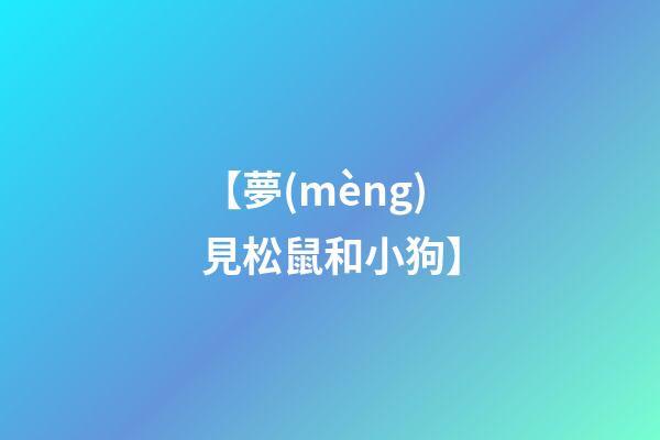 【夢(mèng)見松鼠和小狗】