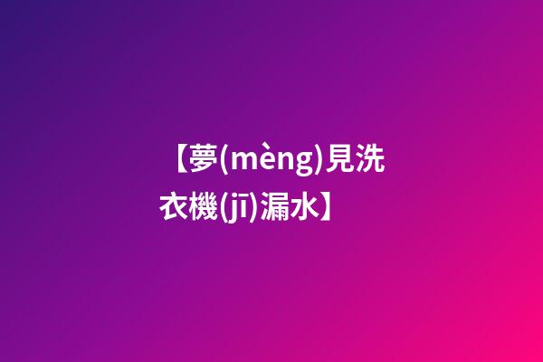 【夢(mèng)見洗衣機(jī)漏水】