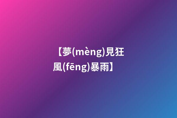 【夢(mèng)見狂風(fēng)暴雨】