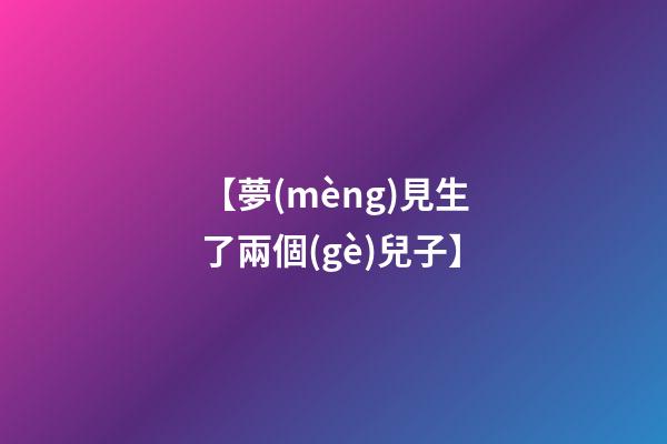 【夢(mèng)見生了兩個(gè)兒子】