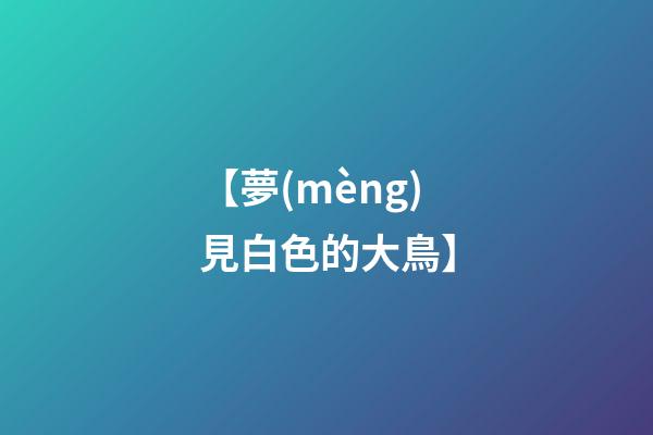 【夢(mèng)見白色的大鳥】
