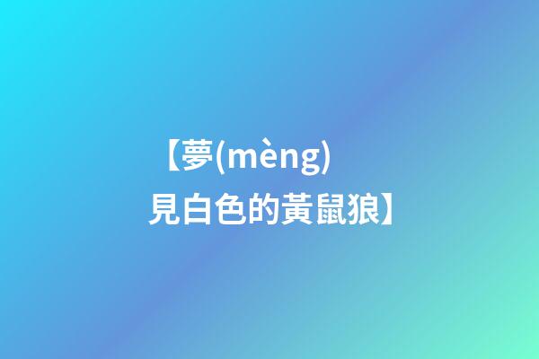 【夢(mèng)見白色的黃鼠狼】