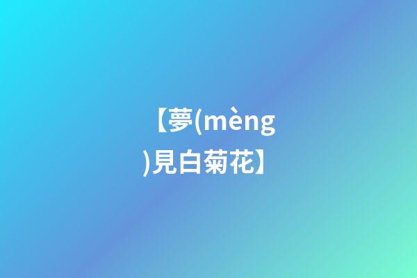 【夢(mèng)見白菊花】