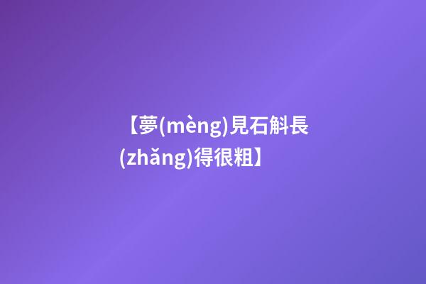 【夢(mèng)見石斛長(zhǎng)得很粗】