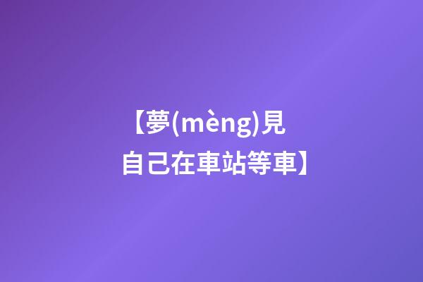 【夢(mèng)見自己在車站等車】