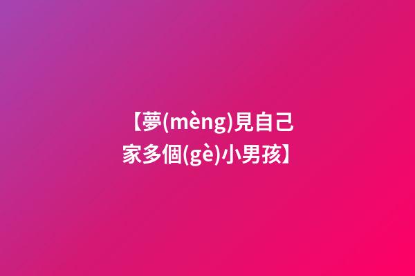 【夢(mèng)見自己家多個(gè)小男孩】