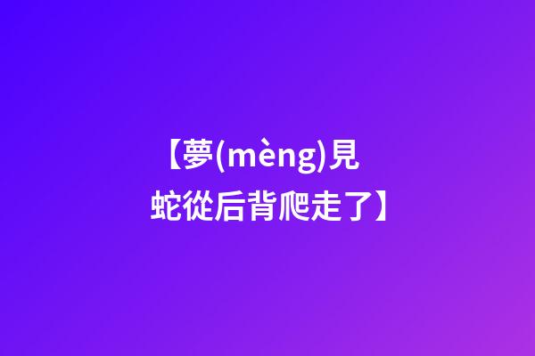 【夢(mèng)見蛇從后背爬走了】