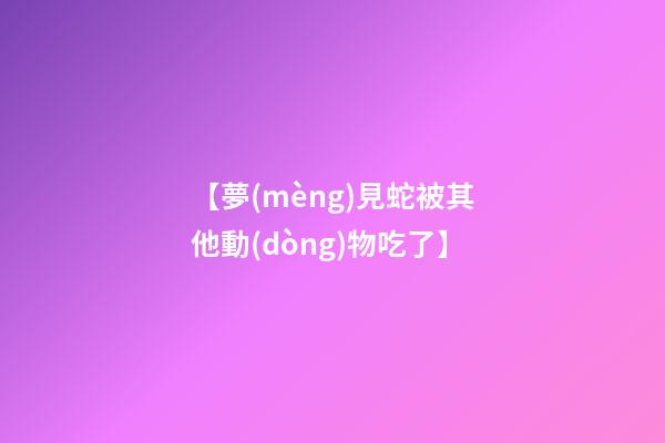 【夢(mèng)見蛇被其他動(dòng)物吃了】