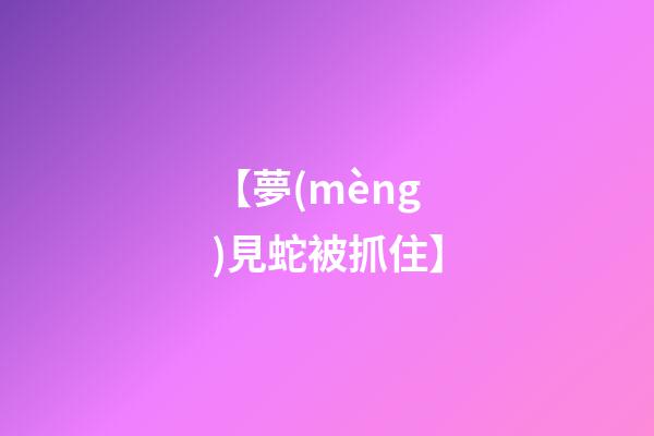 【夢(mèng)見蛇被抓住】