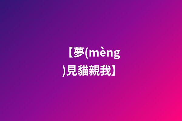 【夢(mèng)見貓親我】