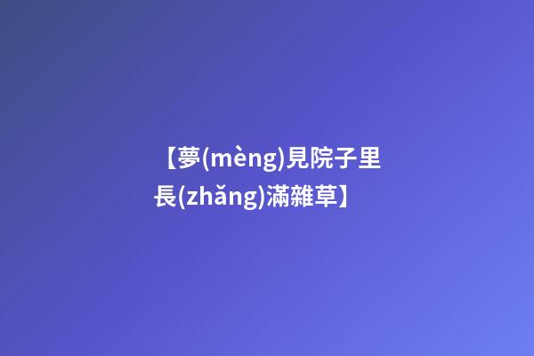 【夢(mèng)見院子里長(zhǎng)滿雜草】