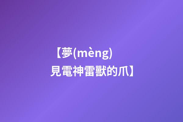 【夢(mèng)見電神雷獸的爪】