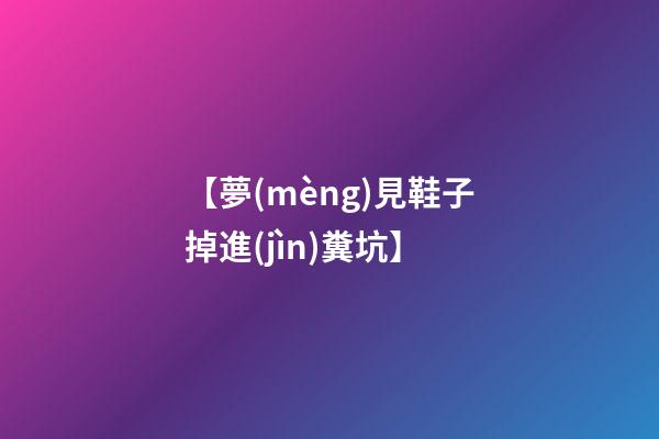 【夢(mèng)見鞋子掉進(jìn)糞坑】