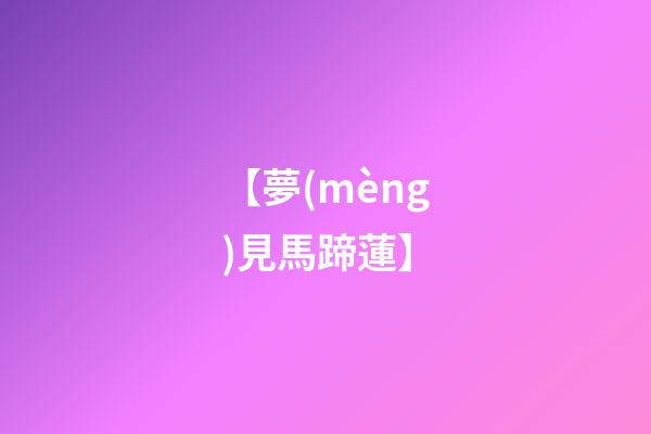 【夢(mèng)見馬蹄蓮】