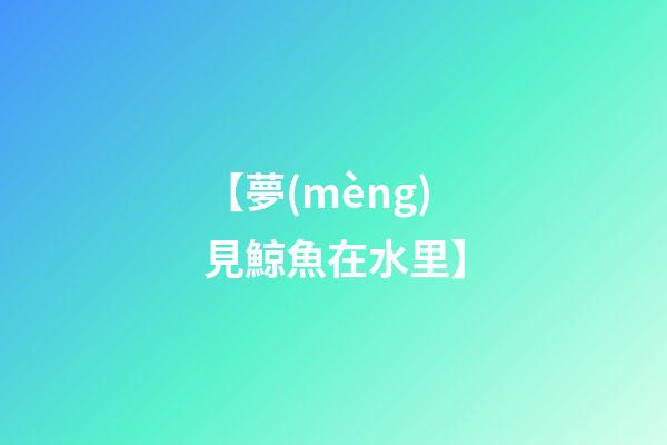 【夢(mèng)見鯨魚在水里】
