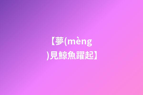 【夢(mèng)見鯨魚躍起】