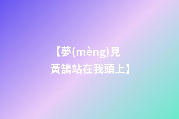 【夢(mèng)見黃鵠站在我頭上】