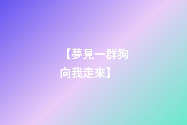 【夢見一群狗向我走來】