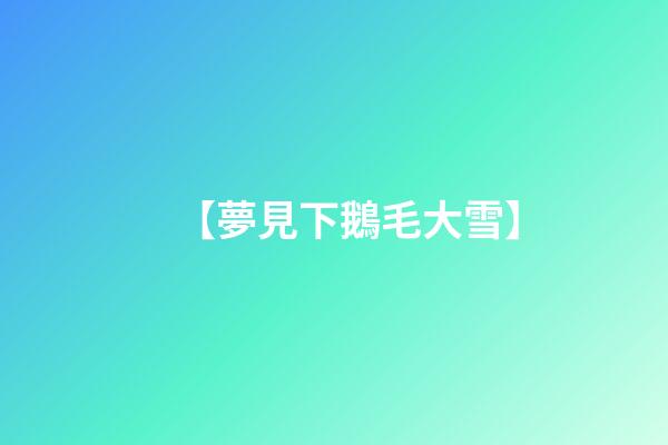 【夢見下鵝毛大雪】