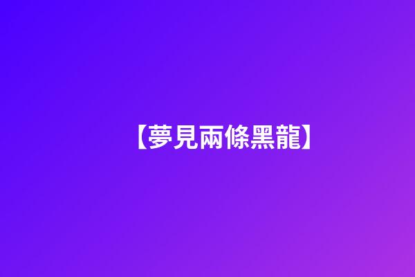 【夢見兩條黑龍】
