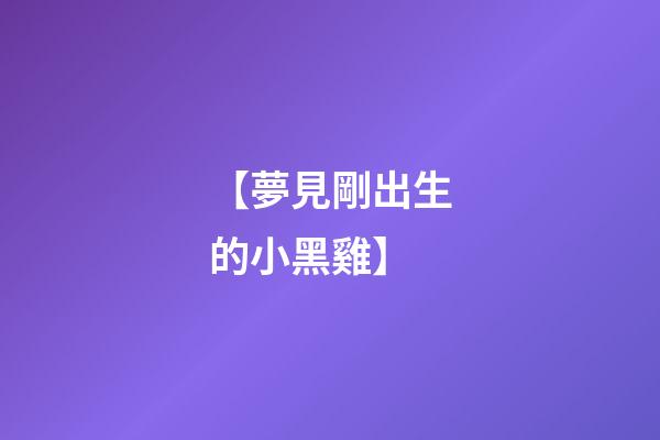 【夢見剛出生的小黑雞】