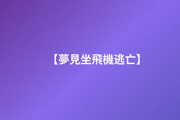 【夢見坐飛機逃亡】