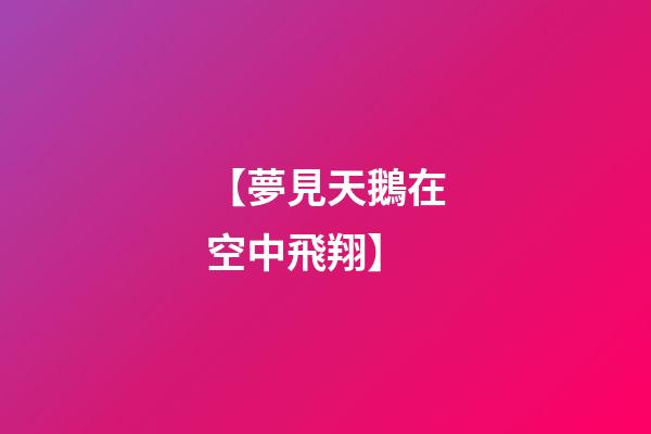 【夢見天鵝在空中飛翔】