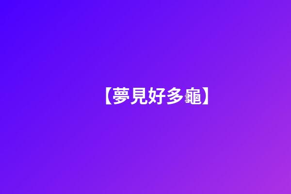 【夢見好多龜】